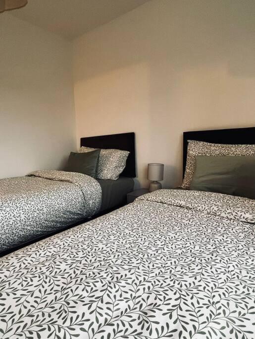 Ourgreystones - Pet Friendly From Stay. *