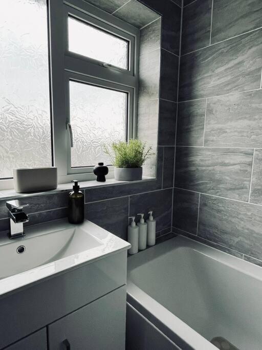 Ourgreystones - Pet Friendly From Stay.